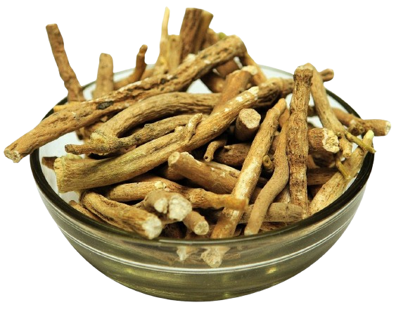 Ashwagandha herb